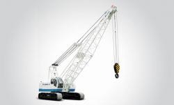 Hydraulic Crawler Crane YTQU80
